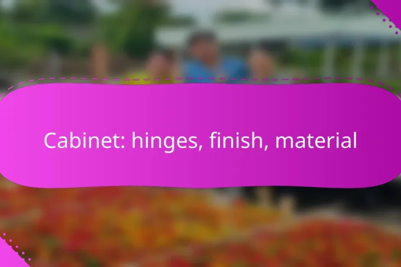 Cabinet: hinges, finish, material
