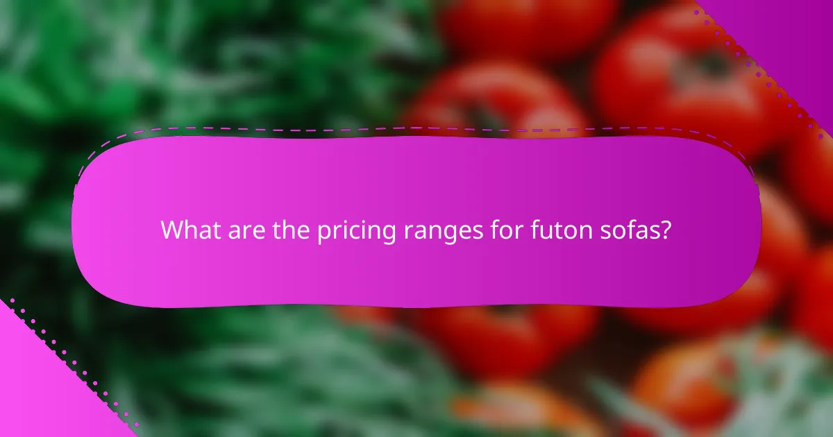 What are the pricing ranges for futon sofas?