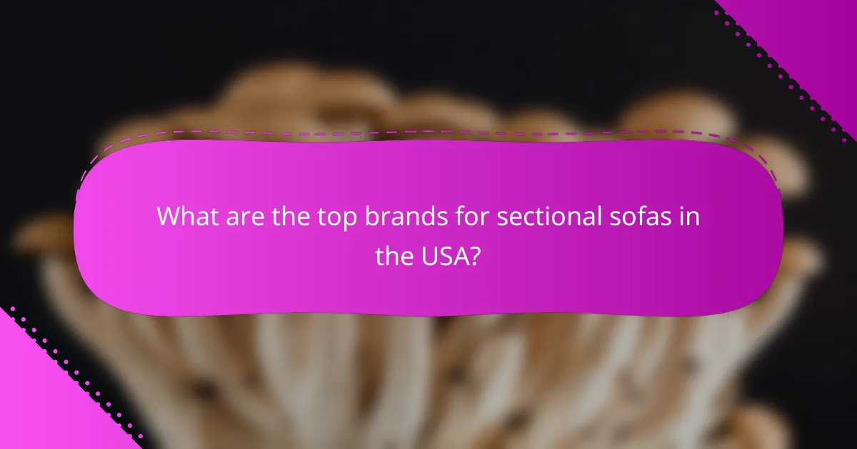 What are the top brands for sectional sofas in the USA?